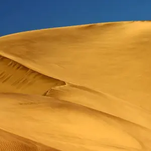 Explore Etosha - 19 days Adventure for 19 days with Chamaeleon and discover unforgettable experiences - Photo 7