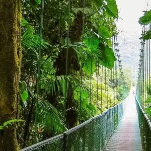 Explore Tortuguero Adventure Trip (14 days) for 14 days with Chamaeleon and discover unforgettable experiences - Photo 9