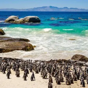 Explore Tons of goosebumps - 18 days of adventure travel for 18 days with Chamaeleon and discover unforgettable experiences - Photo 7