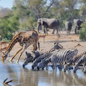 Explore City, land, sea - 15-day adventure trip for 15 days with Chamaeleon and discover unforgettable experiences - Photo 7