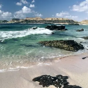 Explore 1001 Nights Food & Culinary Tour - 12 days for 12 days with Chamaeleon and discover unforgettable experiences - Photo 3