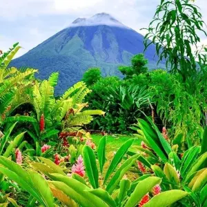 Explore Tortuguero Adventure Trip (14 days) for 14 days with Chamaeleon and discover unforgettable experiences - Photo 11