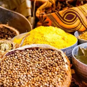 Explore Gorongosa Adventure Tour - 14 days for 14 days with Chamaeleon and discover unforgettable experiences - Photo 4