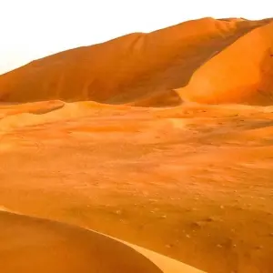 Explore 1001 Nights Food & Culinary Tour - 12 days for 12 days with Chamaeleon and discover unforgettable experiences - Photo 7