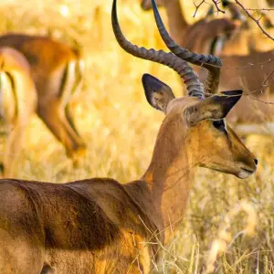 Explore City, land, sea - 15-day adventure trip for 15 days with Chamaeleon and discover unforgettable experiences - Photo 11