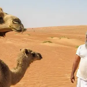 Explore 1001 Nights Food & Culinary Tour - 12 days for 12 days with Chamaeleon and discover unforgettable experiences - Photo 9