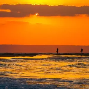 Explore Gorongosa Adventure Tour - 14 days for 14 days with Chamaeleon and discover unforgettable experiences - Photo 7