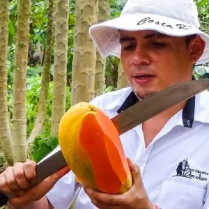 Explore Monteverde Adventure Trip (14 days) for 14 days with Chamaeleon and discover unforgettable experiences - Photo 3