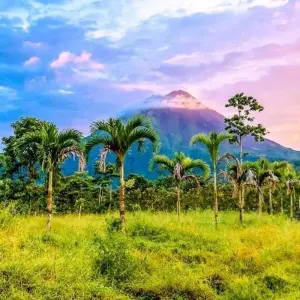 Explore Monteverde Adventure Trip (14 days) for 14 days with Chamaeleon and discover unforgettable experiences - Photo 4