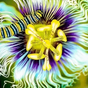 Explore Monteverde Adventure Trip (14 days) for 14 days with Chamaeleon and discover unforgettable experiences - Photo 6