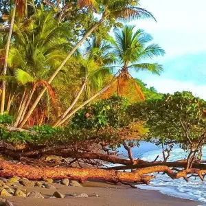 Explore Monteverde Adventure Trip (14 days) for 14 days with Chamaeleon and discover unforgettable experiences - Photo 7