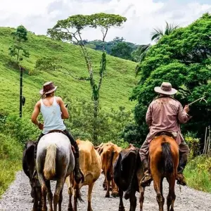 Explore Monteverde Adventure Trip (14 days) for 14 days with Chamaeleon and discover unforgettable experiences - Photo 8