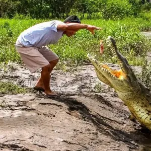 Explore Monteverde Adventure Trip (14 days) for 14 days with Chamaeleon and discover unforgettable experiences - Photo 9