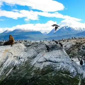 Explore Patagonia Experience for 15 days with Chamaeleon and discover unforgettable experiences - Photo 10