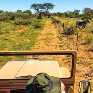 Explore Erongo - 17 days Adventure for 17 days with Chamaeleon and discover unforgettable experiences - Photo 5