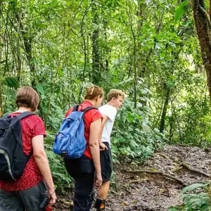 Explore Monteverde Adventure Trip (14 days) for 14 days with Chamaeleon and discover unforgettable experiences - Photo 10