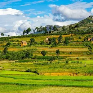 Explore Isalo Adventure for 17 days with Chamaeleon and discover unforgettable experiences - Photo 8