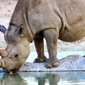 Explore Erongo - 17 days Adventure for 17 days with Chamaeleon and discover unforgettable experiences - Photo 7
