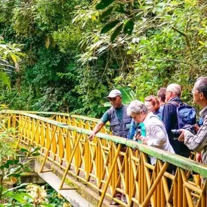 Explore Isalo Adventure for 17 days with Chamaeleon and discover unforgettable experiences - Photo 10