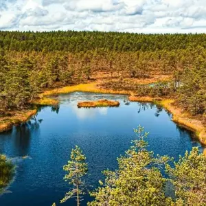 Explore Baltic States Adventure for 10 days with Chamaeleon and discover unforgettable experiences - Photo 10