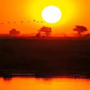 Explore Limpopo Adventure for 21 days with Chamaeleon and discover unforgettable experiences - Photo 9