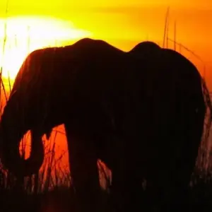 Explore Limpopo Adventure for 21 days with Chamaeleon and discover unforgettable experiences - Photo 10
