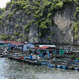 Explore Bayon Adventure for 15 days with Chamaeleon and discover unforgettable experiences - Photo 9