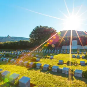 Explore Splendours of Turkey Luxury Tour for 14 days with Ciconia Exclusive Journeys and discover unforgettable experiences - Photo 11