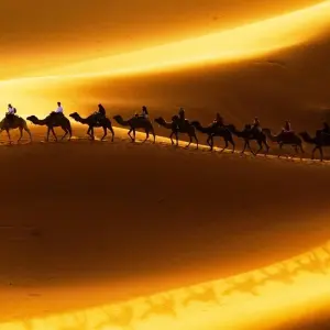Explore Essential Morocco Luxury Tour for 9 days with Ciconia Exclusive Journeys and discover unforgettable experiences - Photo 11