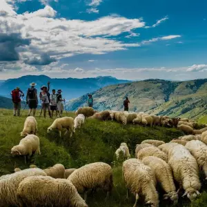 Explore Peaks of the Balkans Tours in 10 days – Classic Route for 10 days with Choose Balkans and discover unforgettable experiences - Photo 2