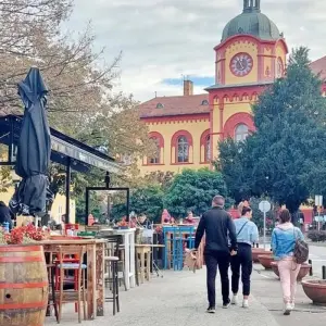 Explore Small Group Tour; Serbia and Romania from Bucharest to Belgrade for 8 days with Choose Balkans and discover unforgettable experiences - Photo 7