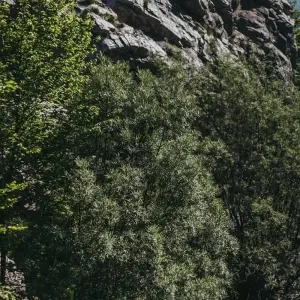 Explore Self-guided: Peaks of the Balkans Tour in 12 days for 12 days with Choose Balkans and discover unforgettable experiences - Photo 3