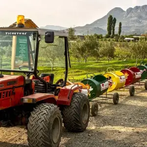 Explore Tour of Shkoder & Mrizi i Zanave Agroutourism from Tirana for 1 days with Choose Balkans and discover unforgettable experiences - Photo 5