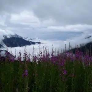 Explore Semi-Private Hiking Tour; Peaks of the Balkans in 10 days for 10 days with Choose Balkans and discover unforgettable experiences - Photo 10