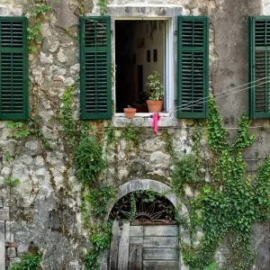 Explore Semi-Private Day Tour of Montenegro: Budva & Kotor from Tirana for 1 days with Choose Balkans and discover unforgettable experiences - Photo 3