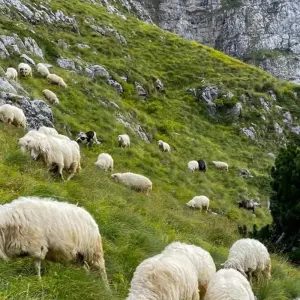 Explore Self-Guided Peaks of the Balkans tour in 7 days for 7 days with Choose Balkans and discover unforgettable experiences - Photo 5