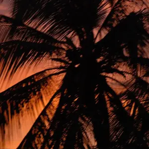 Explore 4 days Lost City Trek starting in Santa Marta for 6 days with Class Adventure Travel  and discover unforgettable experiences - Photo 2