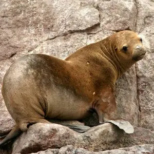Explore Peru Discovery for 16 days with Class Adventure Travel  and discover unforgettable experiences - Photo 3