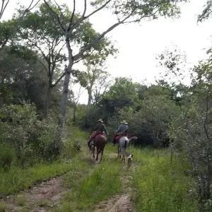 Explore Pantanal: Exploring the World's Largest Wetlands for 4 days with Class Adventure Travel  and discover unforgettable experiences - Photo 2