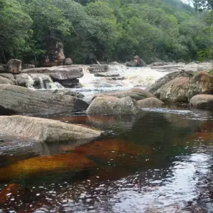 Explore Chapada Diamantina: Lençóis & Brazil's Capital of Caves for 5 days with Class Adventure Travel  and discover unforgettable experiences - Photo 3