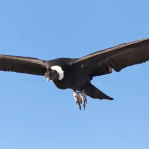 Explore Peru Action & Adventure for 18 days with Class Adventure Travel  and discover unforgettable experiences - Photo 5