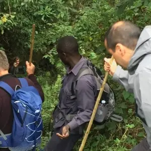 Explore 3 Days Uganda Gorilla Trekking- Luxury Option for 3 days with Classic Journeys Africa Ltd and discover unforgettable experiences - Photo 4