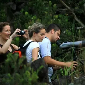Explore Adventures in Costa Rica! for 7 days with Class Adventure Travel  and discover unforgettable experiences - Photo 5