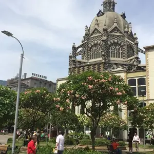 Explore Explore Medellin, Santa Marta & Palomino for 7 days with Class Adventure Travel  and discover unforgettable experiences - Photo 9
