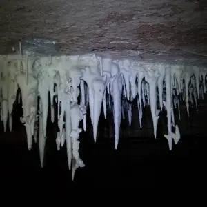 Explore Chapada Diamantina: Lençóis & Brazil's Capital of Caves for 5 days with Class Adventure Travel  and discover unforgettable experiences - Photo 8