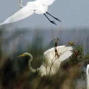 Explore Marshes & Waterfalls for 6 days with Class Adventure Travel  and discover unforgettable experiences - Photo 7