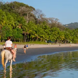 Explore Costa Rica: Beach & Volcano (Self-Drive) for 8 days with Class Adventure Travel  and discover unforgettable experiences - Photo 5