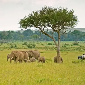 Explore CLASSIC JOURNESY KIFARU SAFARI for 6 days with Classic Journeys Africa Ltd and discover unforgettable experiences - Photo 2