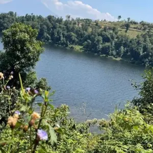 Explore 4 Days Itinerary Rwanda Gorilla Experience -Luxury for 4 days with Classic Journeys Africa Ltd and discover unforgettable experiences - Photo 4