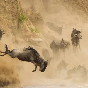 Explore 8 Days Classic Highlights of Kenya for 8 days with Classic Journeys Africa Ltd and discover unforgettable experiences - Photo 2